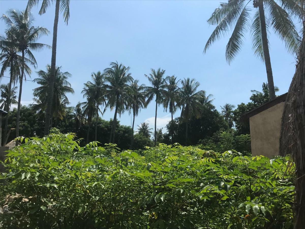 Meno Madia Bungalows Gili Meno Buitenkant foto