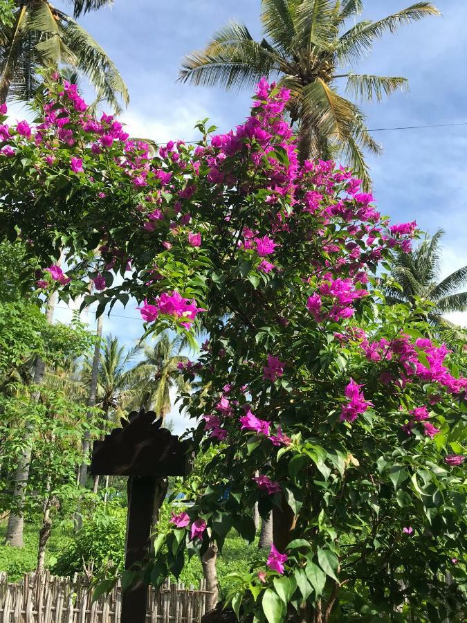 Meno Madia Bungalows Gili Meno Buitenkant foto