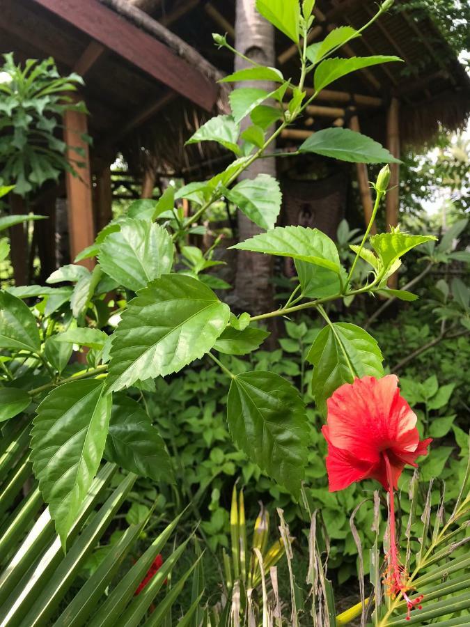 Meno Madia Bungalows Gili Meno Buitenkant foto